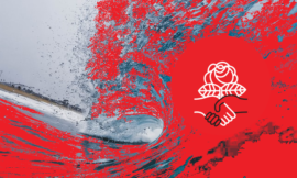 The REAL Red Wave and IssueVoter  The votes are still being counted, but Democrats faired much better than expected | IssueVoter - a platform to empower voters